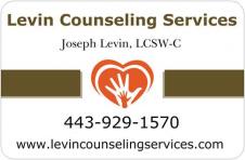 Levin Counseling Services